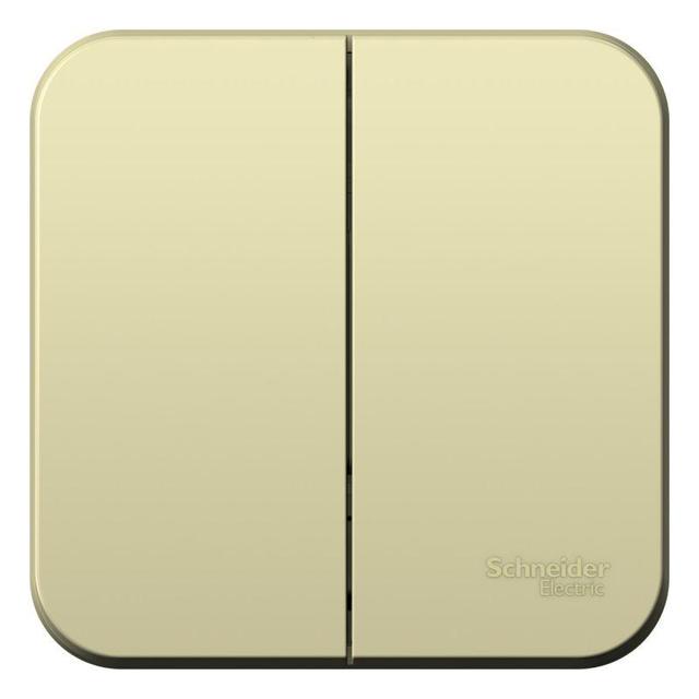 Выключатель 2-кл. ОП Blanca 10А IP20 (сх. 5) 250В с изолир. пластиной беж. SE BLNVA105017