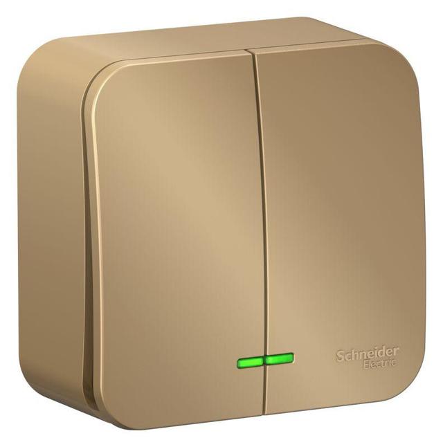 Выключатель 2-кл. ОП Blanca 10А IP20 (сх. 5) 250В с подсветкой с изолир. пластиной титан SE BLNVA105114